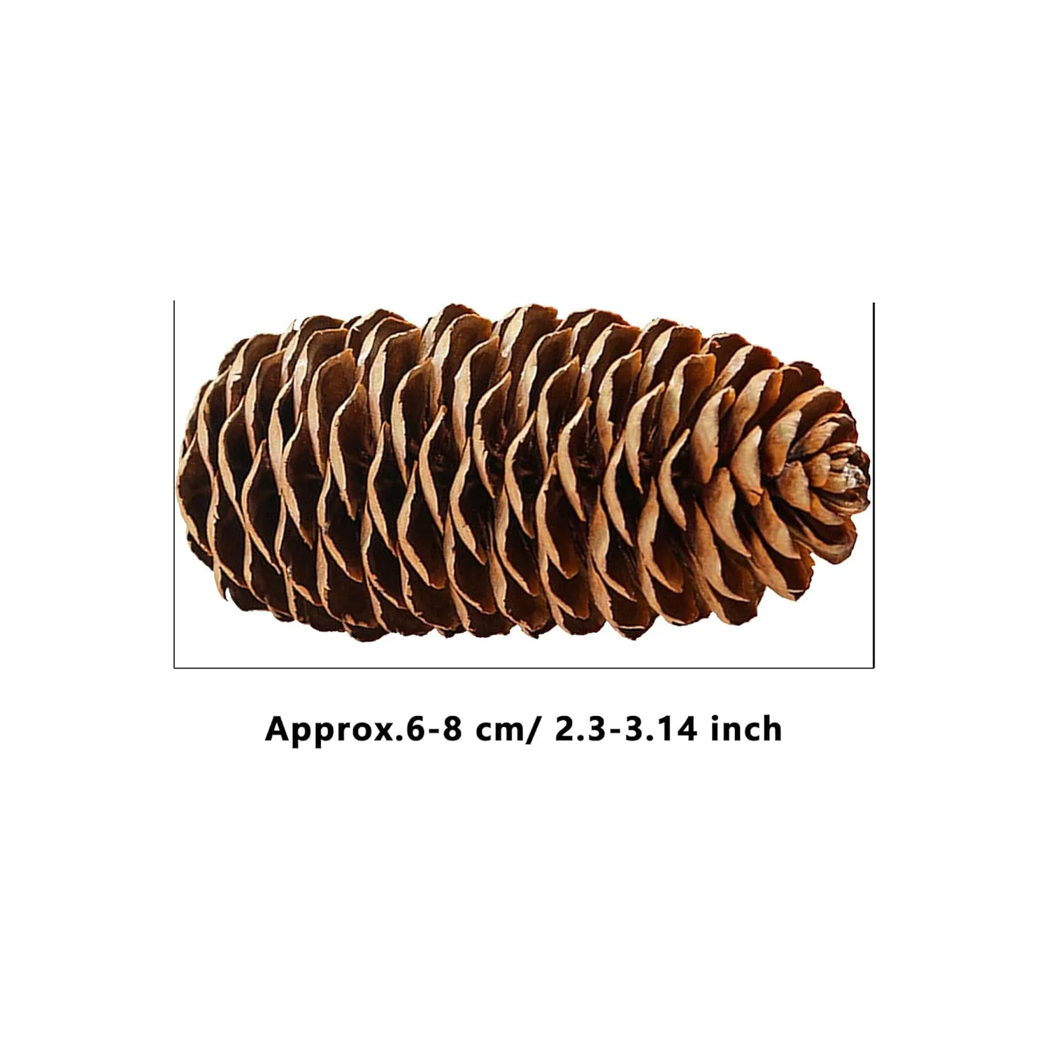 christmas pine cones 2