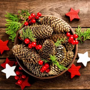 christmas pine cones 5