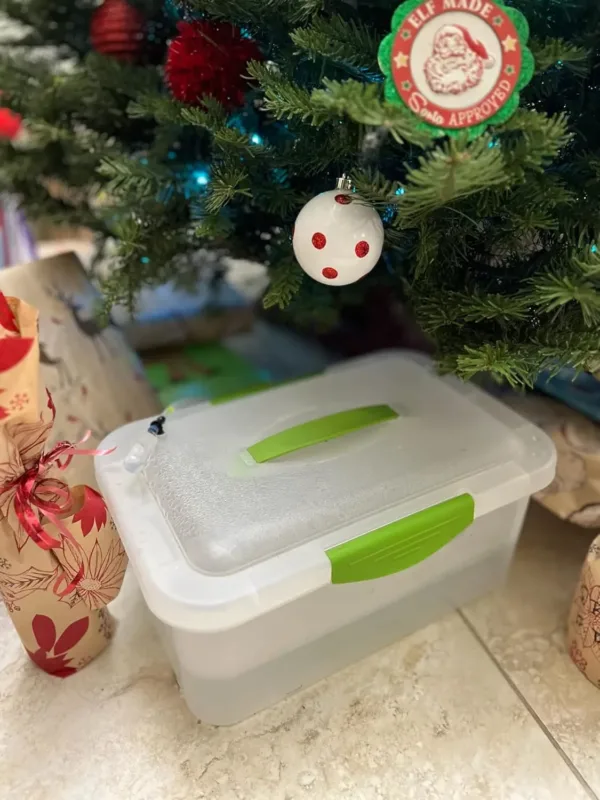 christmas tree watering system 6