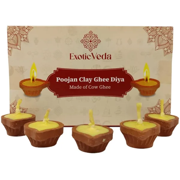 clay diya ghee wicks 1