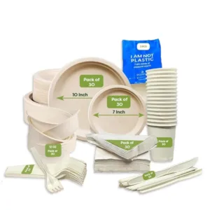 compostable dinnerware set 1