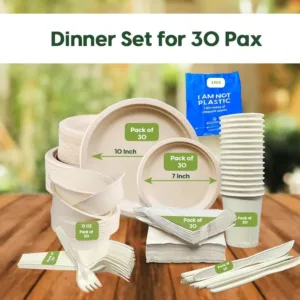 compostable dinnerware set 2