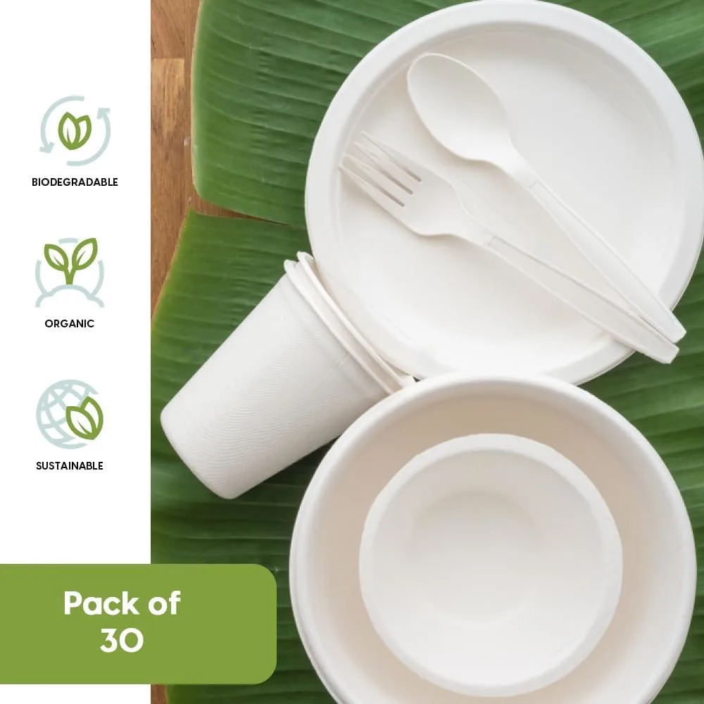 compostable dinnerware set 3