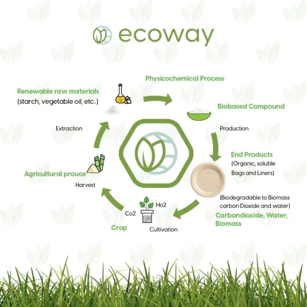 compostable dinnerware set 6