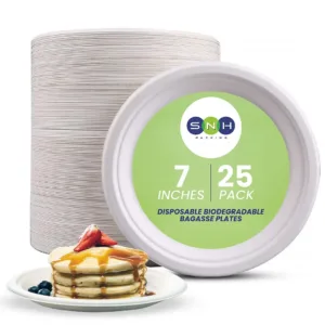 compostable disposable plates 1