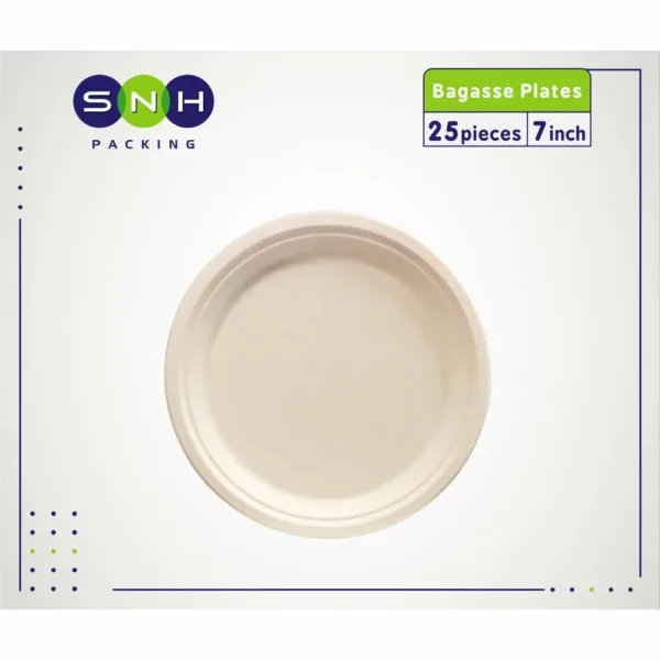 compostable disposable plates 2