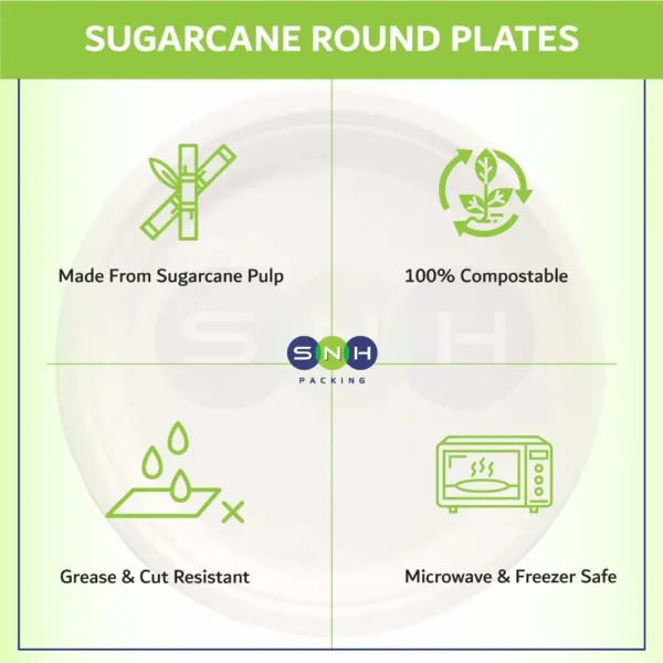 compostable disposable plates 5