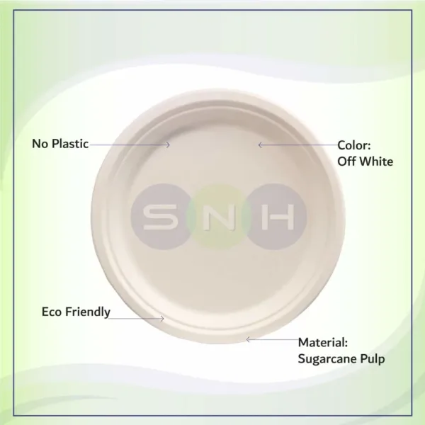 compostable disposable plates 6