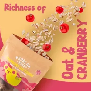 cranberry oat cookies 4