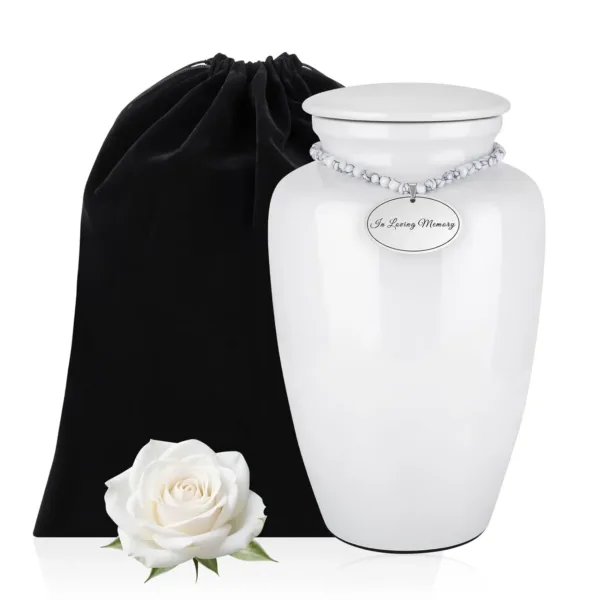 cremation urn ashes 1