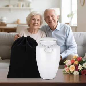 cremation urn ashes 7