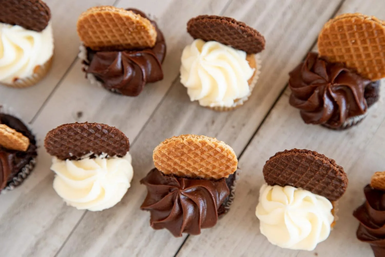 daelmans dutch waffles 4