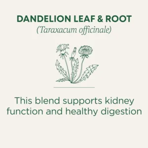 dandelion tea detox 4