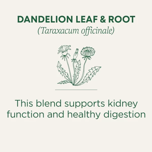 dandelion tea detox 4