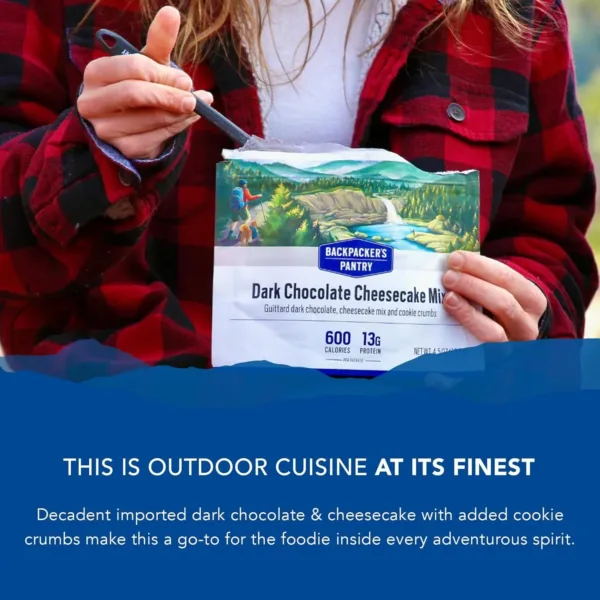 dark chocolate cheesecake 3