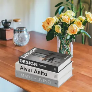 decorative faux books 2