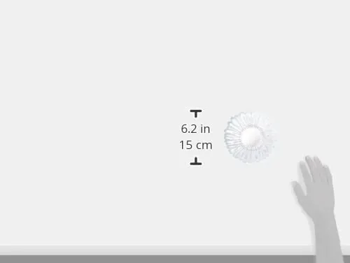 dessert plates glass 5