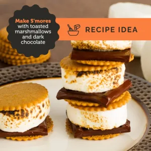 dewey's triple ginger 6