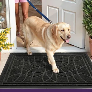 dexi door mat 7