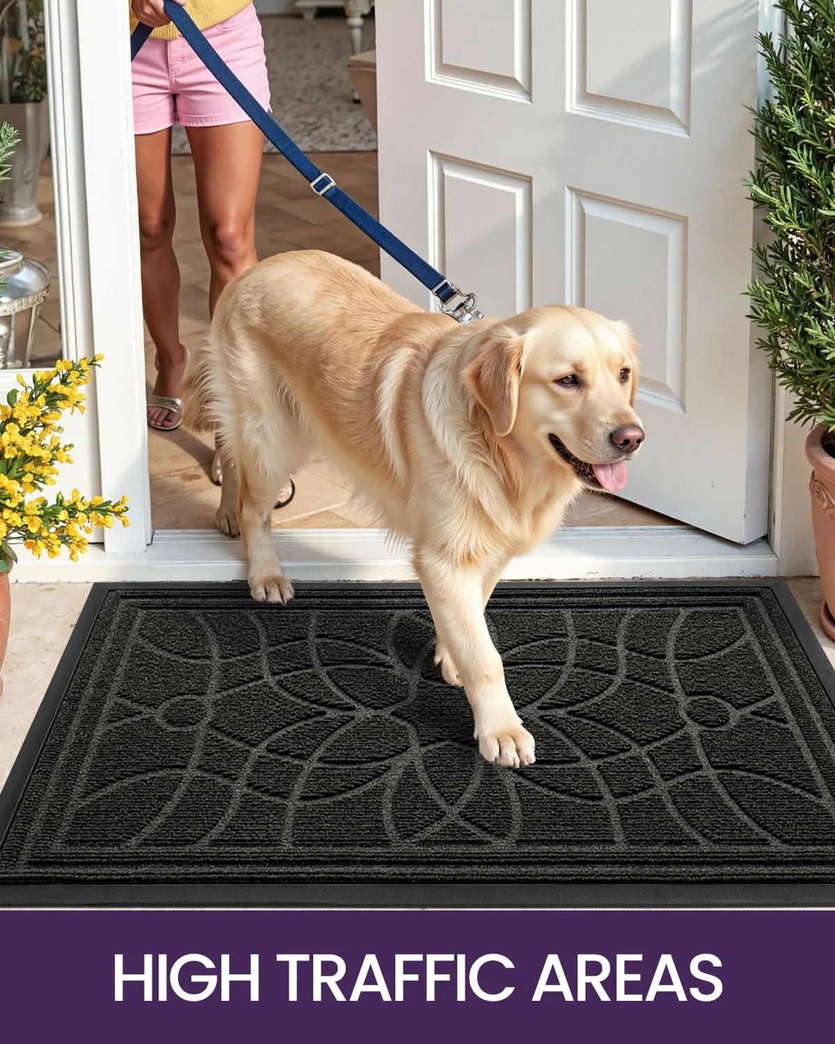 dexi door mat 7