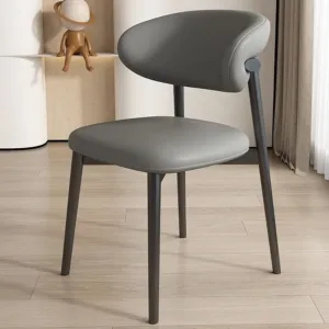 dining chair modern 1