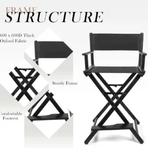 directors makeup chair 5