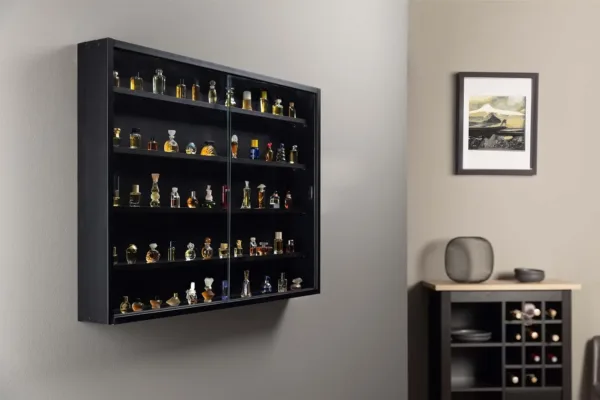 display cabinet glass case 2