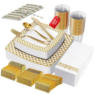 disposable dinnerware set 1