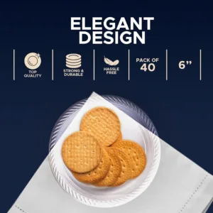 disposable plastic plates 2