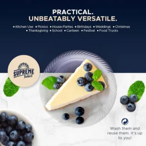 disposable plastic plates 4