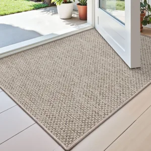 door mat indoor thin 1