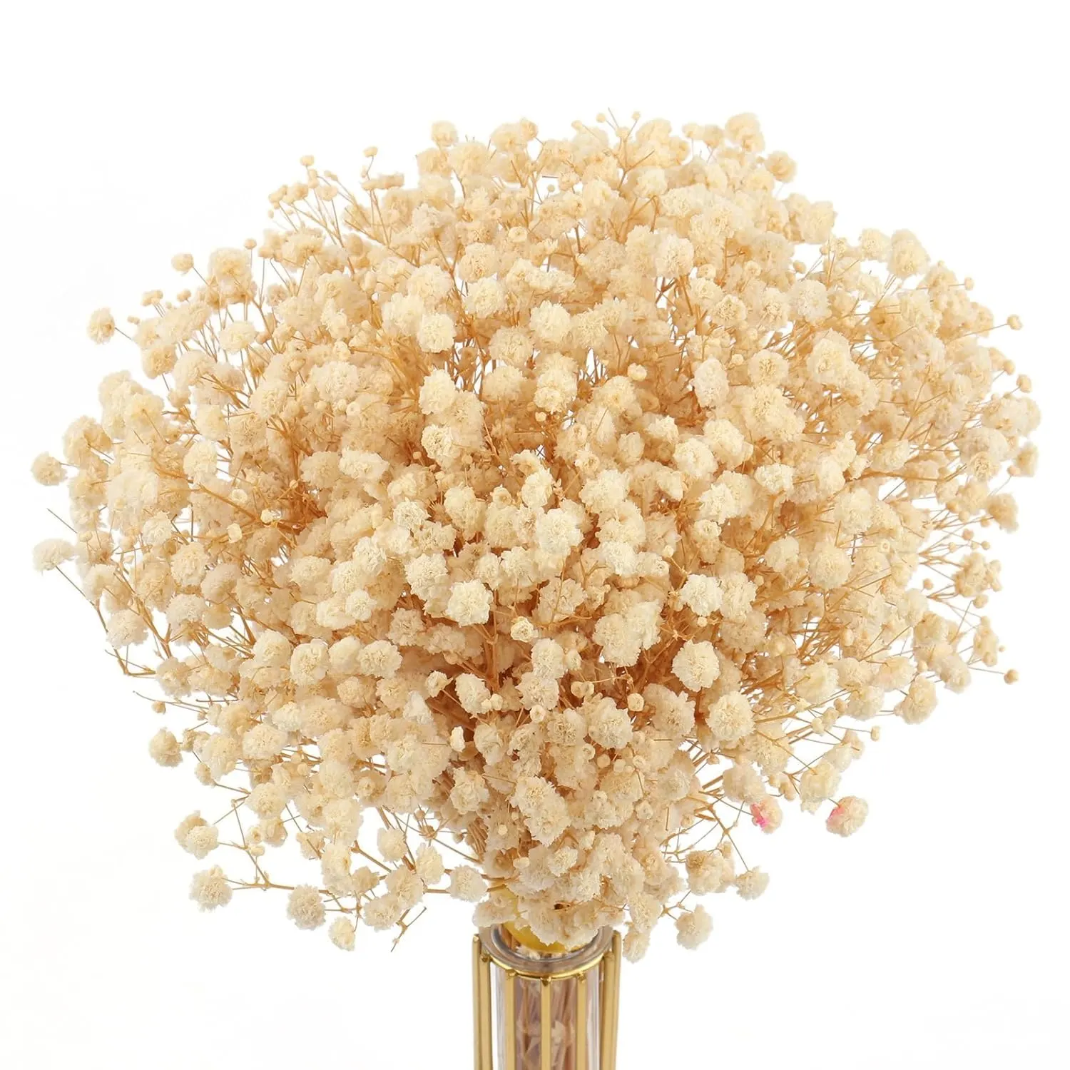 dried babys breath flowers 1