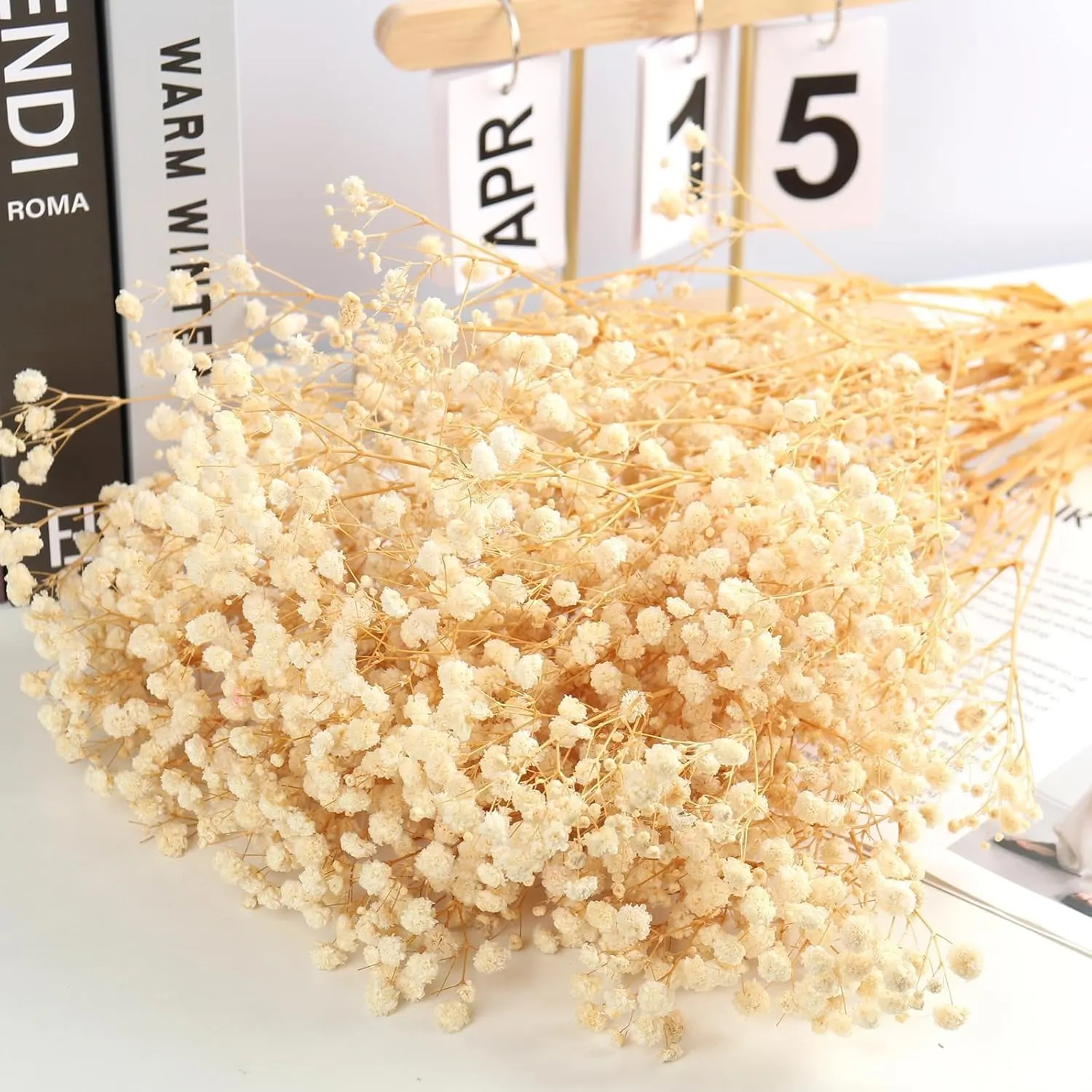 dried babys breath flowers 2