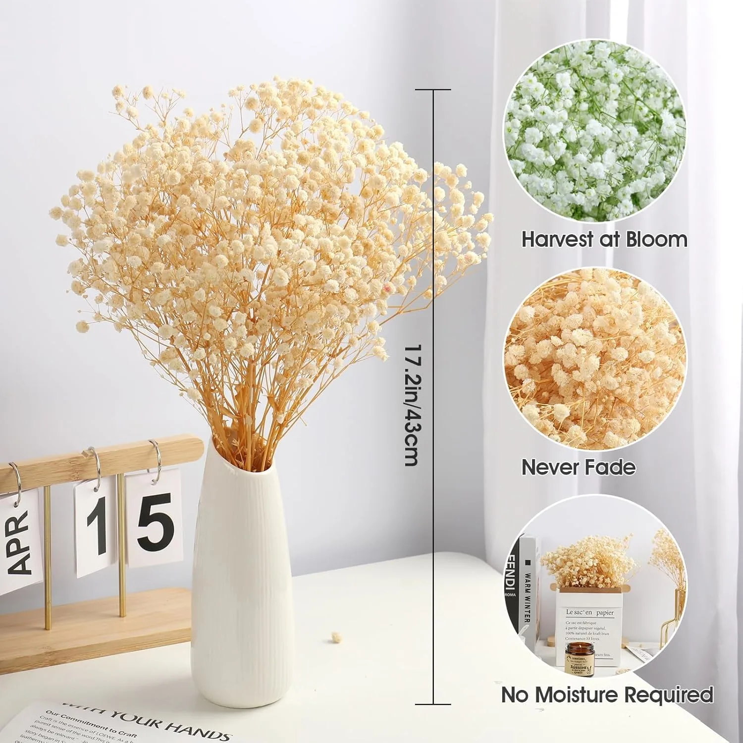 dried babys breath flowers 3