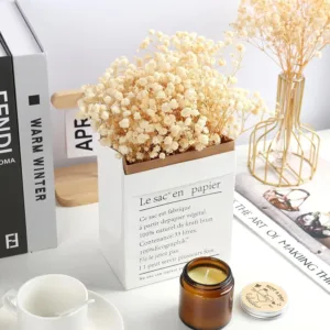 dried babys breath flowers 4