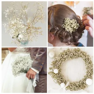 dried babys breath flowers 6