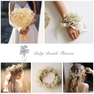 dried babys breath flowers 7