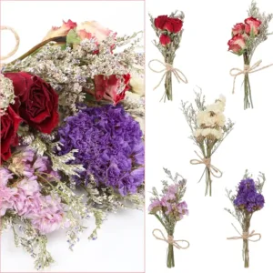 dried flowers forget me 5