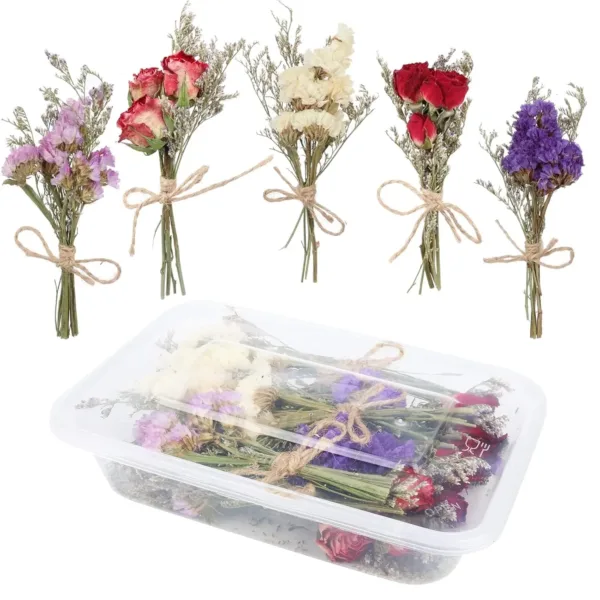 dried flowers forget me 7