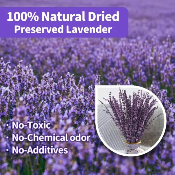 dried lavender bundle 2