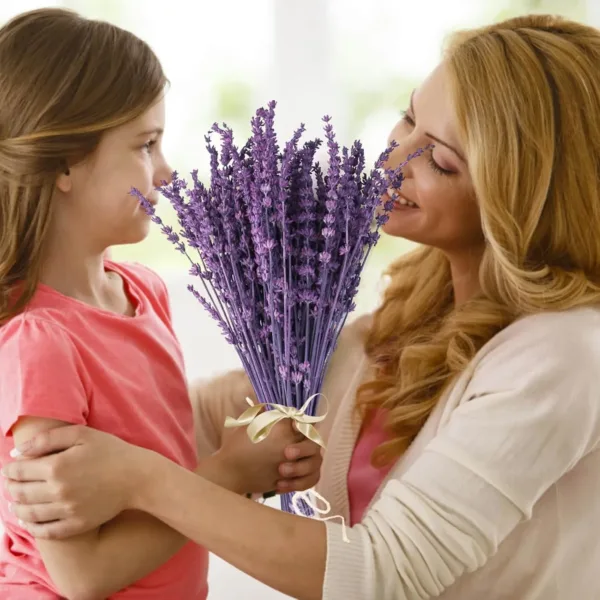 dried lavender bundle 5