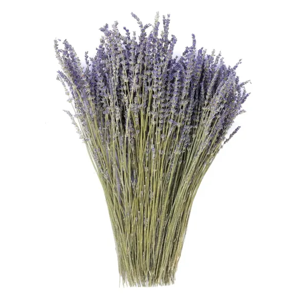dried lavender flowers 1