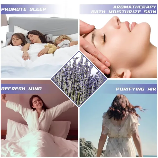 dried lavender flowers 2