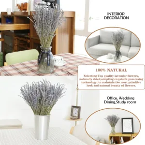 dried lavender flowers 3