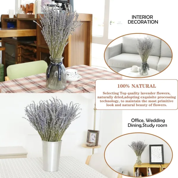 dried lavender flowers 3