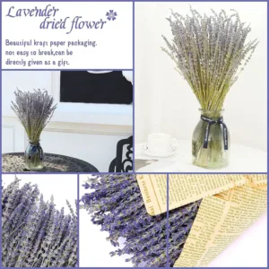 dried lavender flowers 4