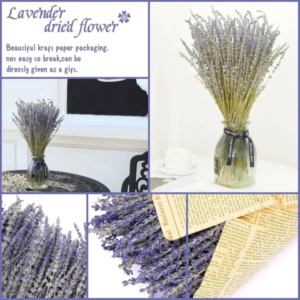 dried lavender flowers 4
