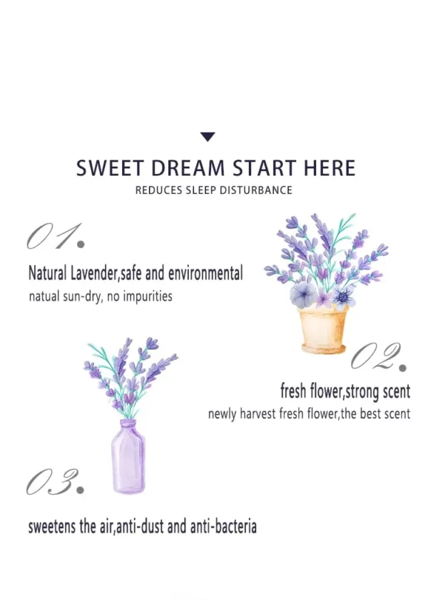 dried lavender flowers 7