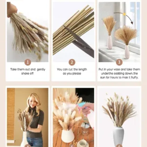 dried pampas grass decor 3