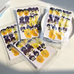 dried pressed flowers 2